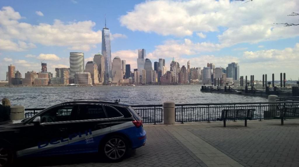 delphidrivernycphoto